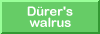 Duerer's walrus